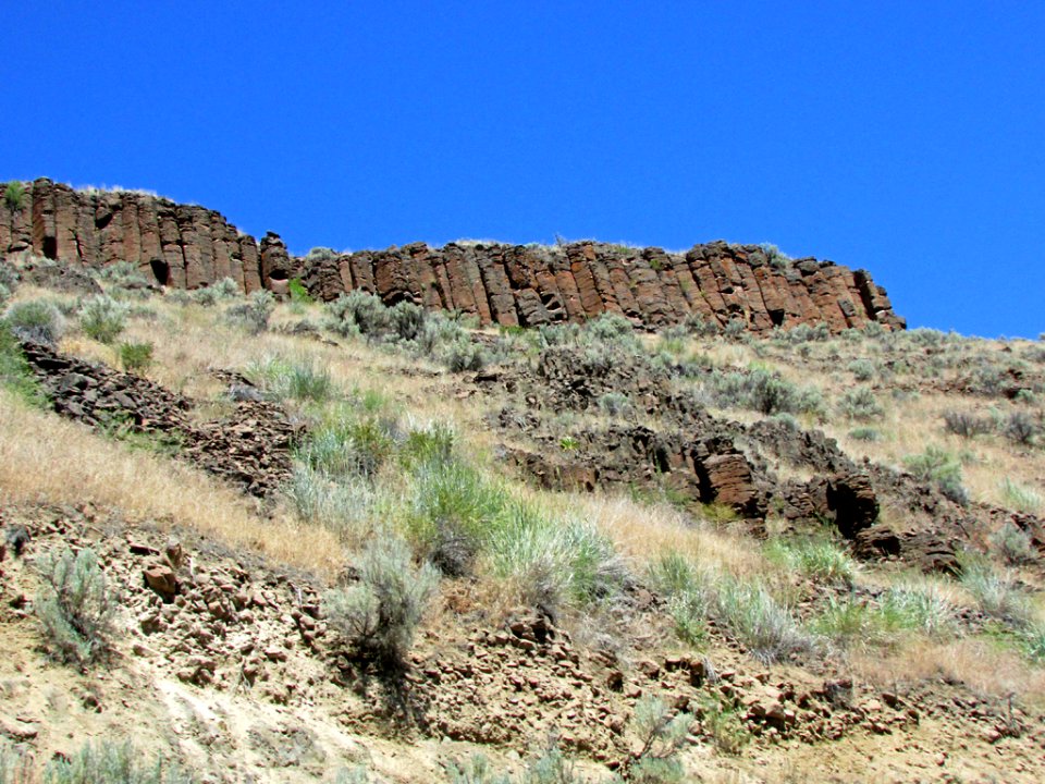 Landscape in Central OR
