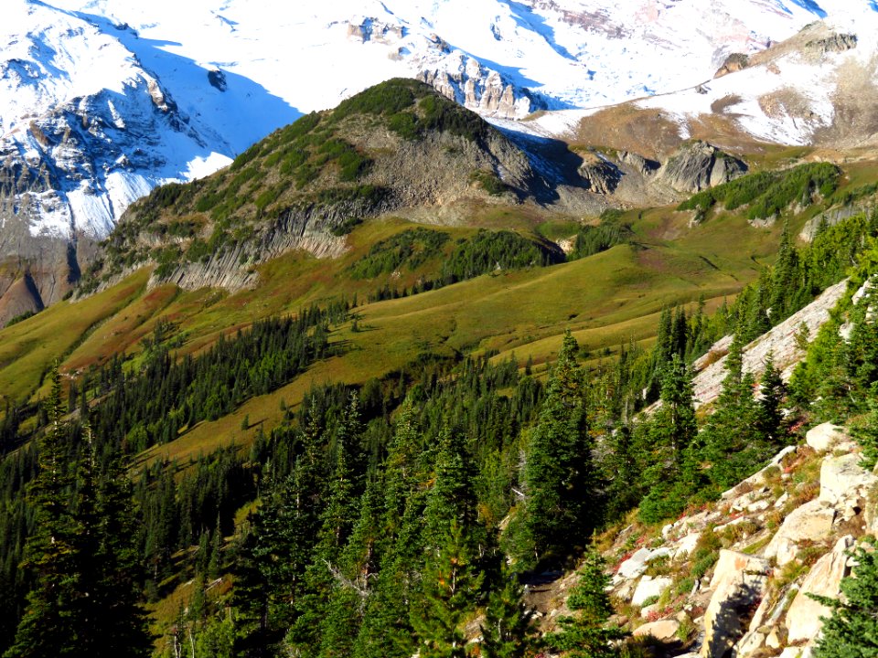 Burroughs Mt. Trail at Mt. Rainier NP in WA