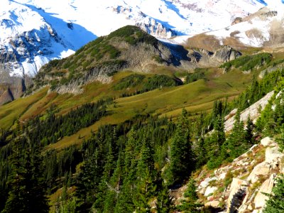 Burroughs Mt. Trail at Mt. Rainier NP in WA photo