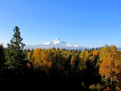 Autumn at Mt. Hood in OR