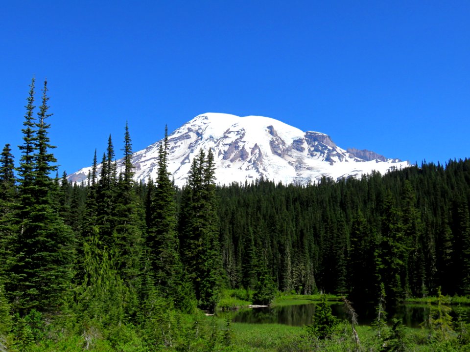 Mt. Rainier NP in WA