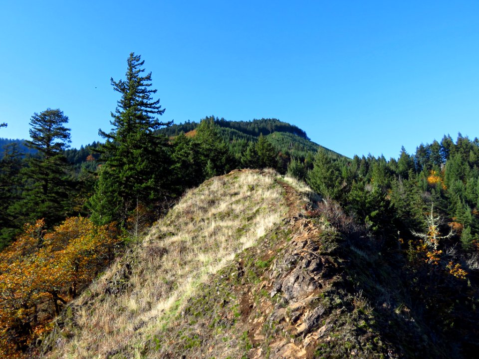 Spirit Falls Trail on Little White Salmon River in WA photo