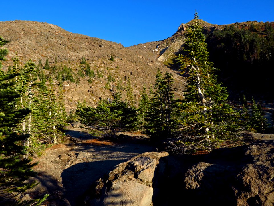 Mt. St. Helens Summit Trail in WA