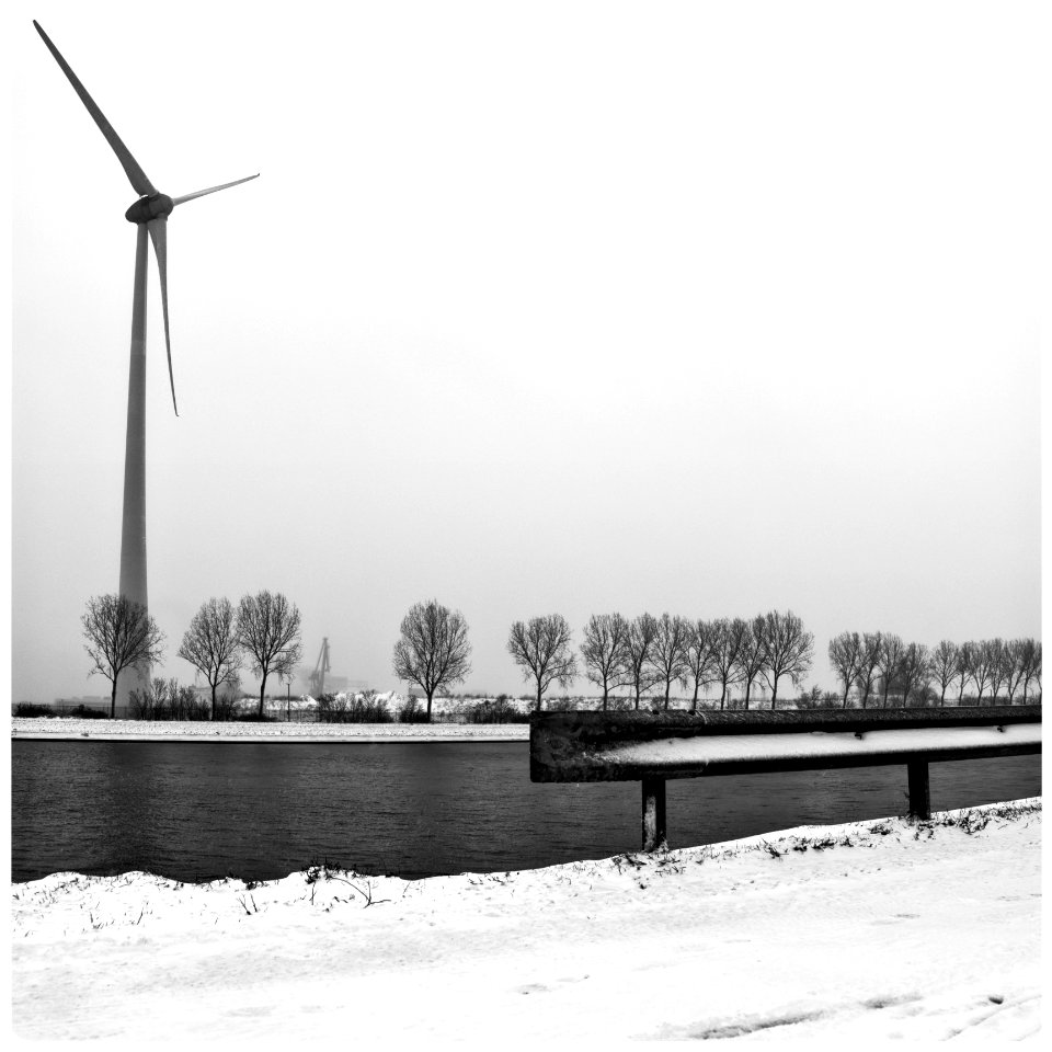 Tree Line