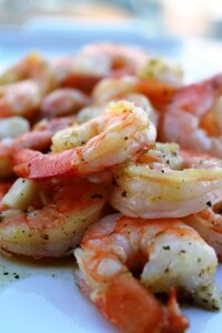Gourmet shrimp seafood photo