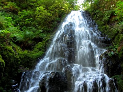 Waterfall at Columbia River Gorge in OR photo