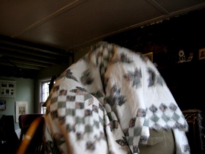 Two Headed Monster in Bryan Alexander's House
