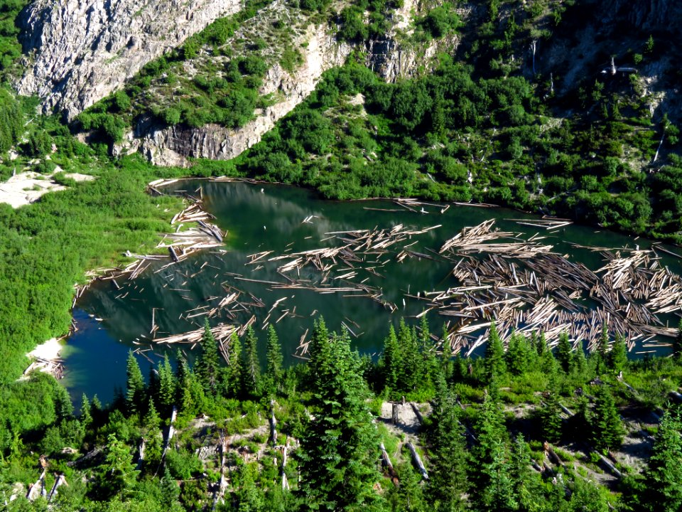 Grizzly Lake at Mt. Margaret Backcountry in WA