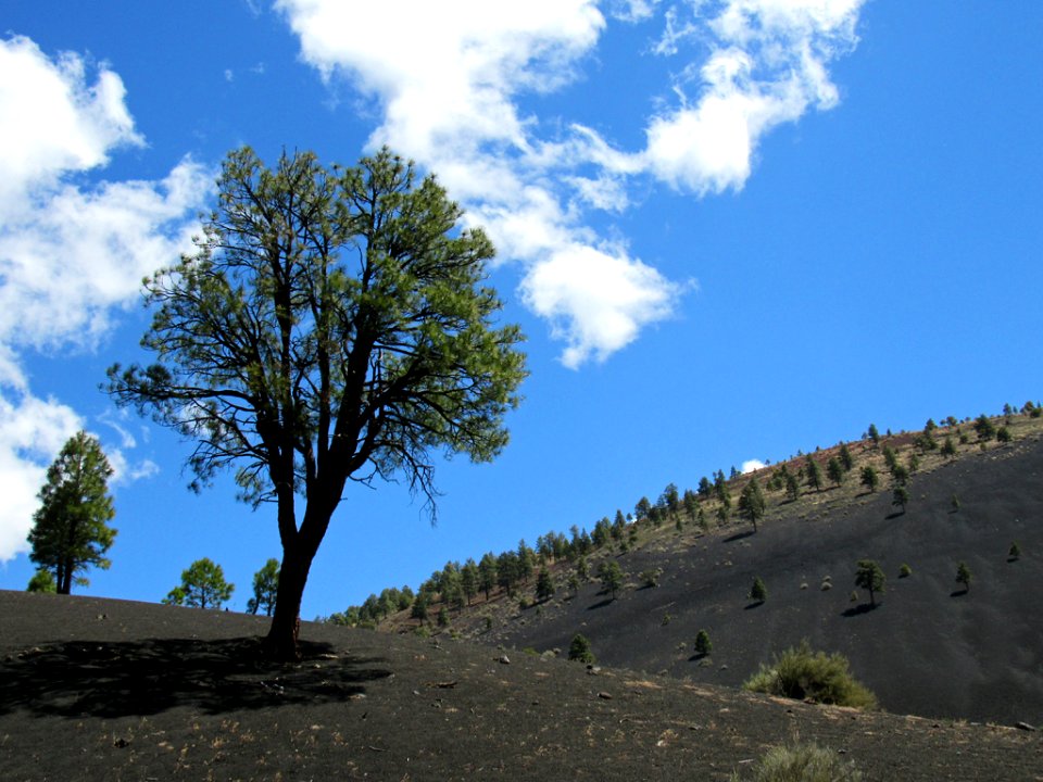 Sunset Crater Volcano NM in Arizona