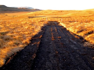 Skinnhufa Track