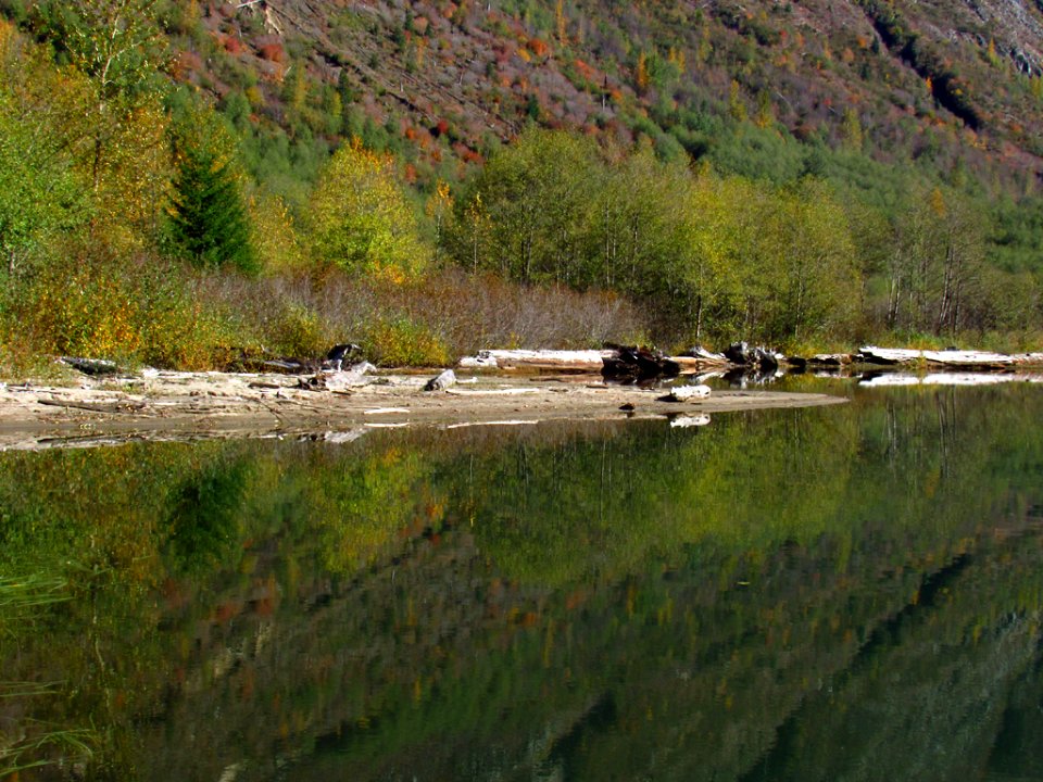 Coldwater Lake Loop Trail in WA