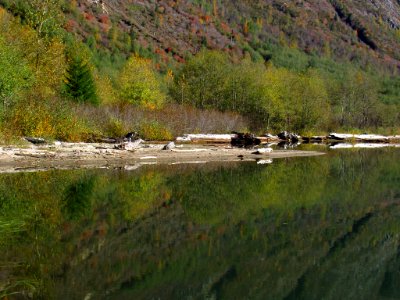Coldwater Lake Loop Trail in WA