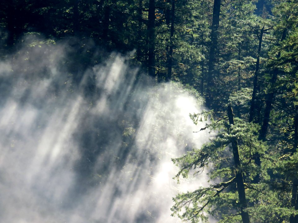 Eagle Creek Trail in Oregon