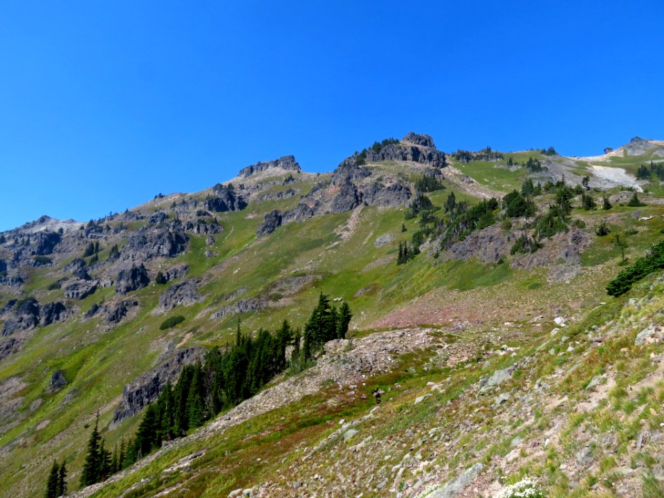 Goat Rocks Wilderness in WA