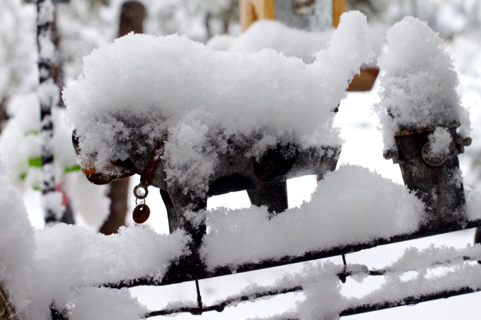 Spike in the Snow