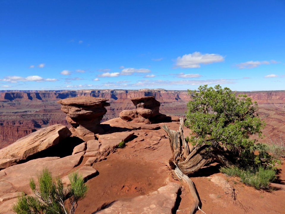 Dead Horse Point SP in UT