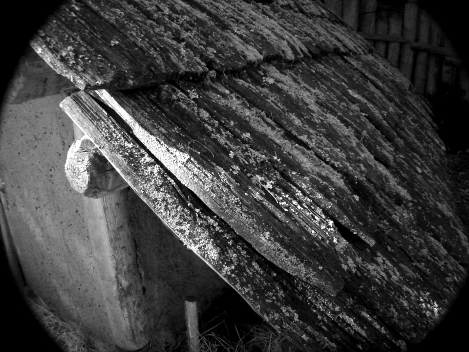 Roof detail