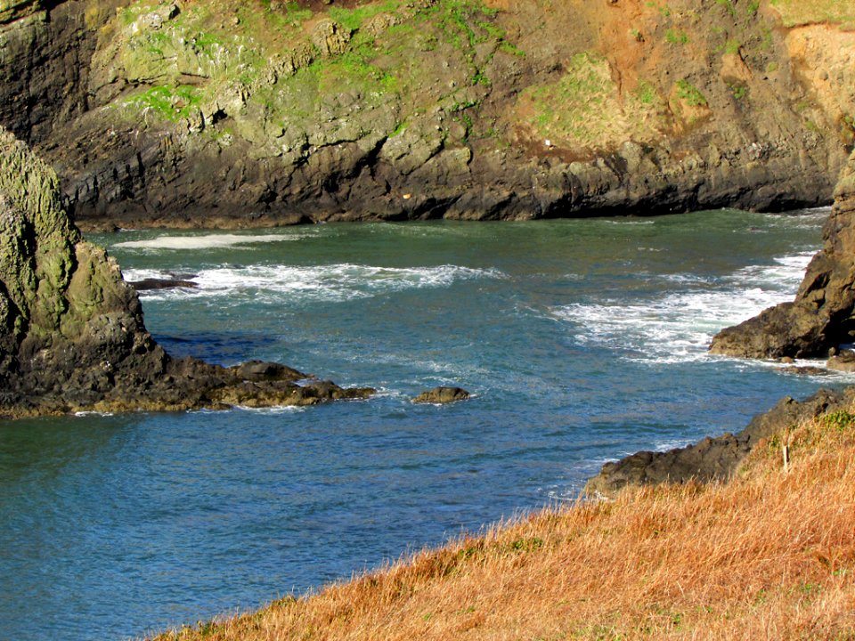Yaquina Head in Newport, OR