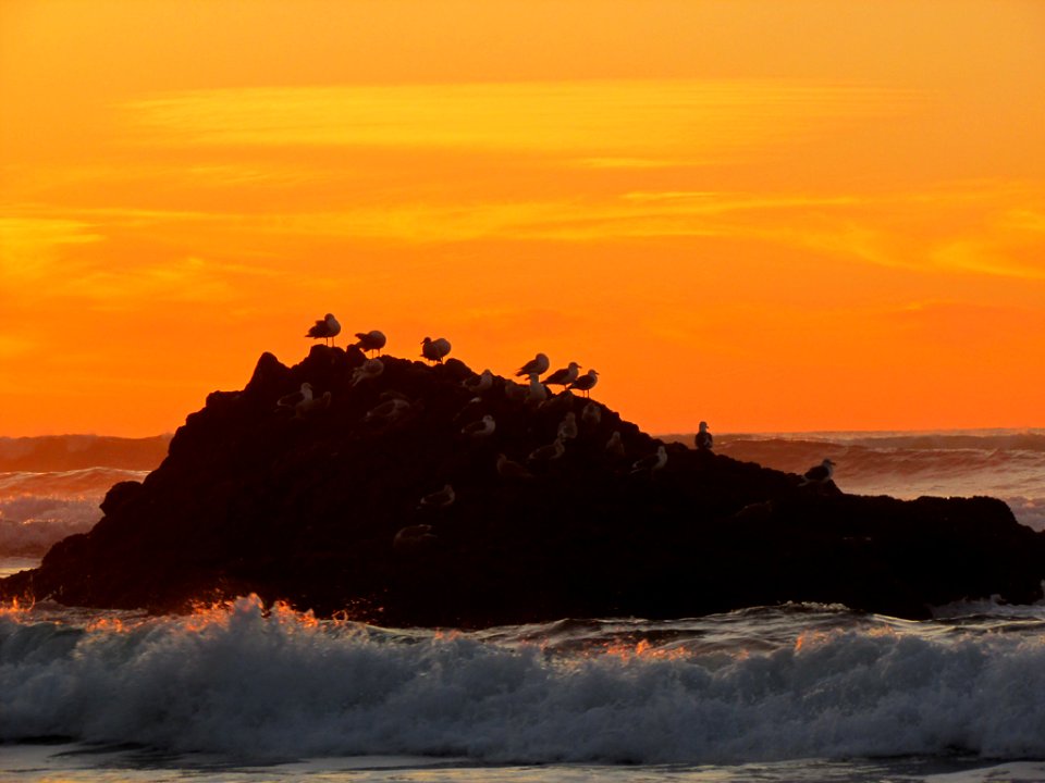 Hug Point at Pacific Coast in OR