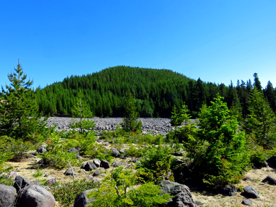 Lahar Viewpoint at Mt. St. Helens NM in Washington