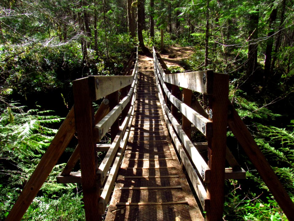 Suspension Bridge at Falls Creek Falls Trail in WA