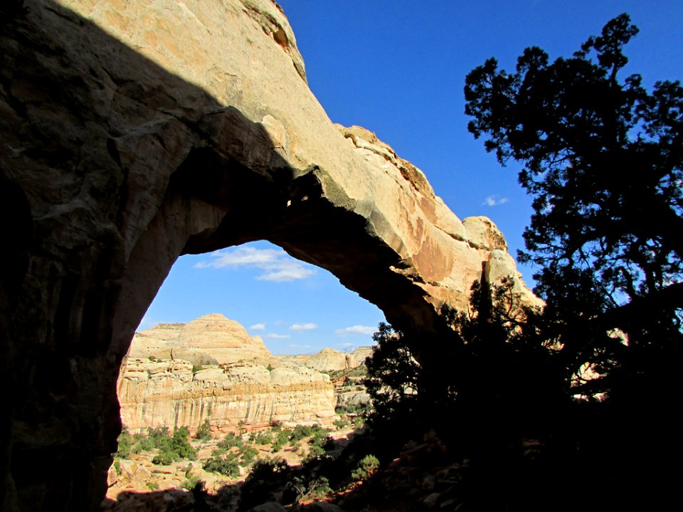 Hickman Natural Bridge at Capitol Reef NP in Utah