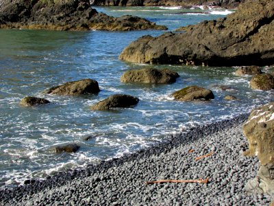 Yaquina Head in OR