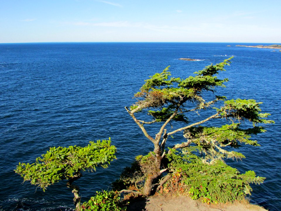 Cape Flattery at Neah Bay in WA