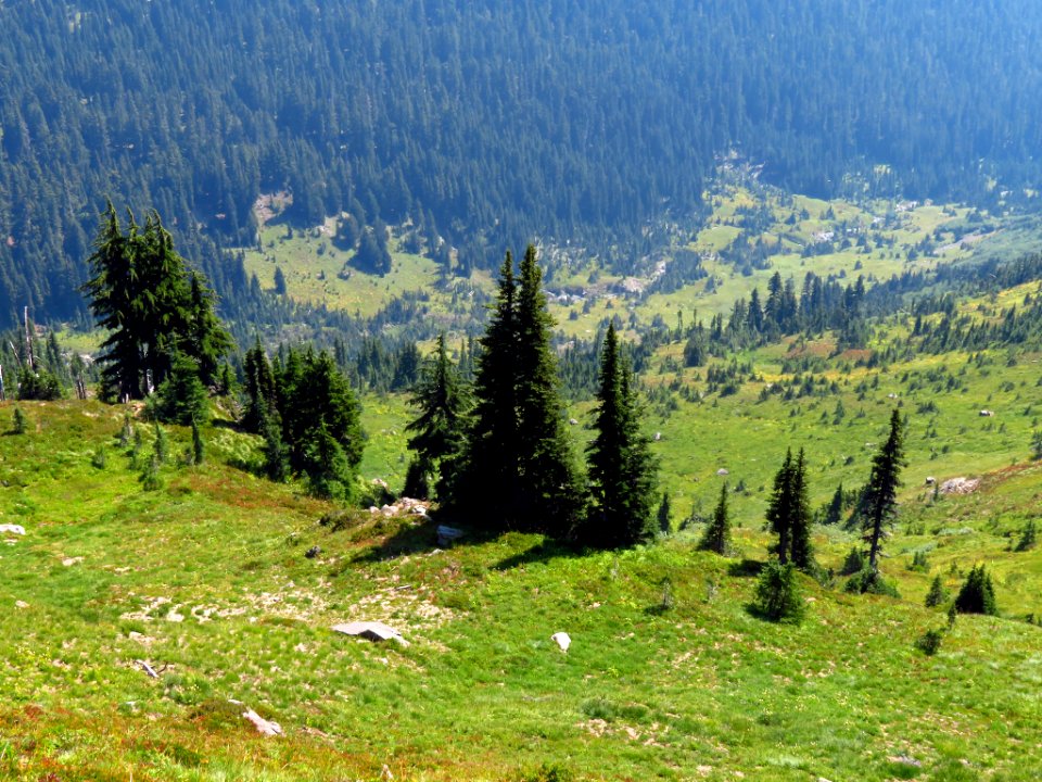 Goat Rocks Wilderness in WA