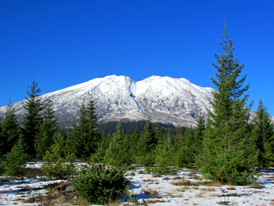 Mt. St. Helens NM in WA