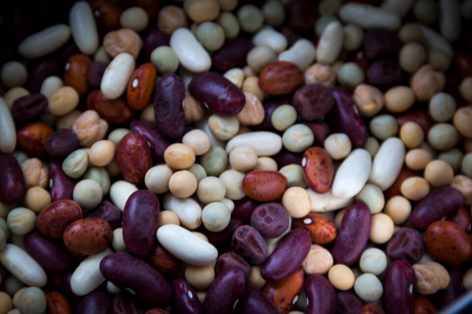 Organic pod legume photo