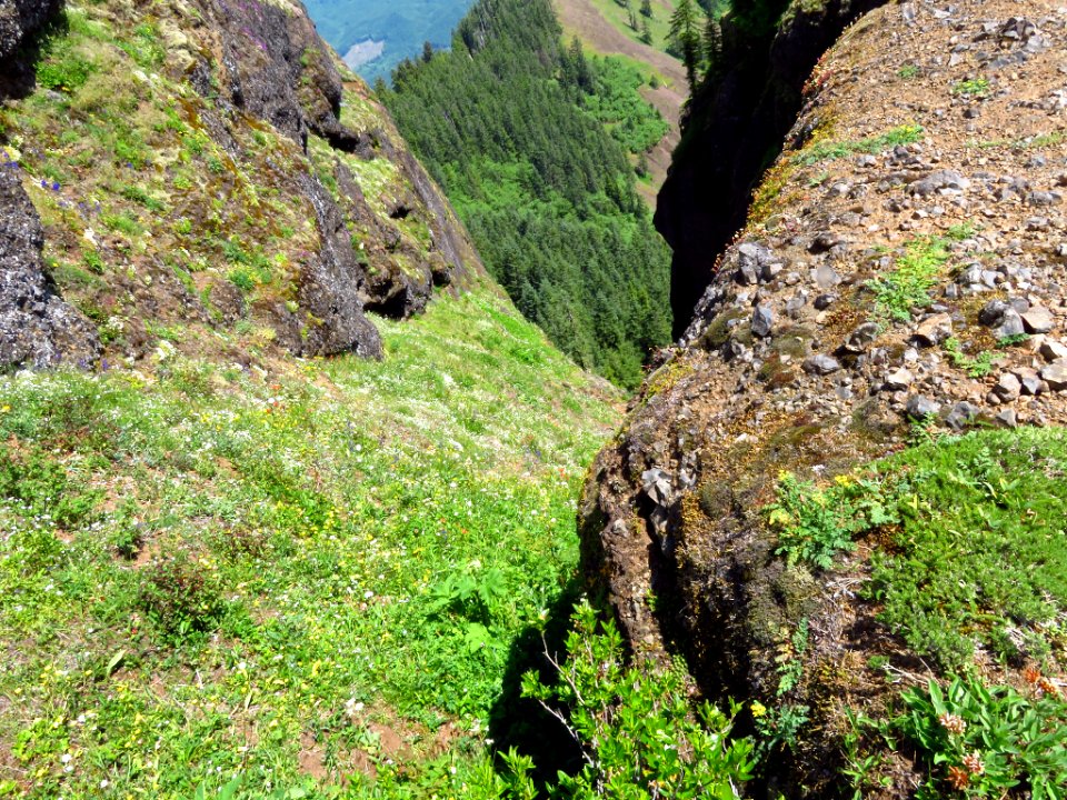 Saddle Mountain Trail in OR