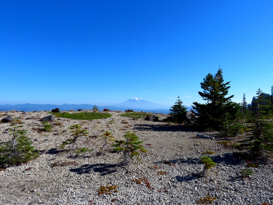 Ape Canyon Trail in WA