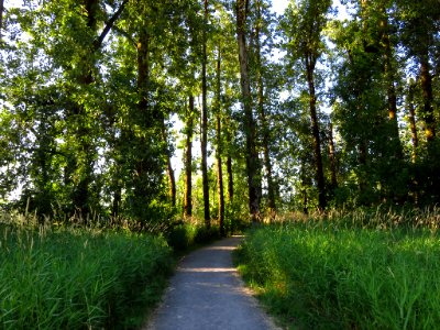 Steigerwald Lake NWR in WA