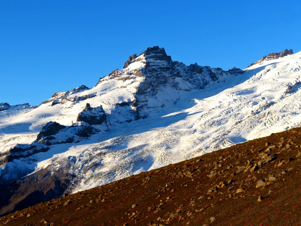 Burroughs Mt. Trail at Mt. Rainier NP in WA