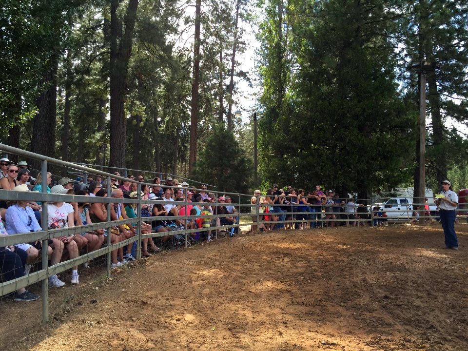 Nevada County Fair