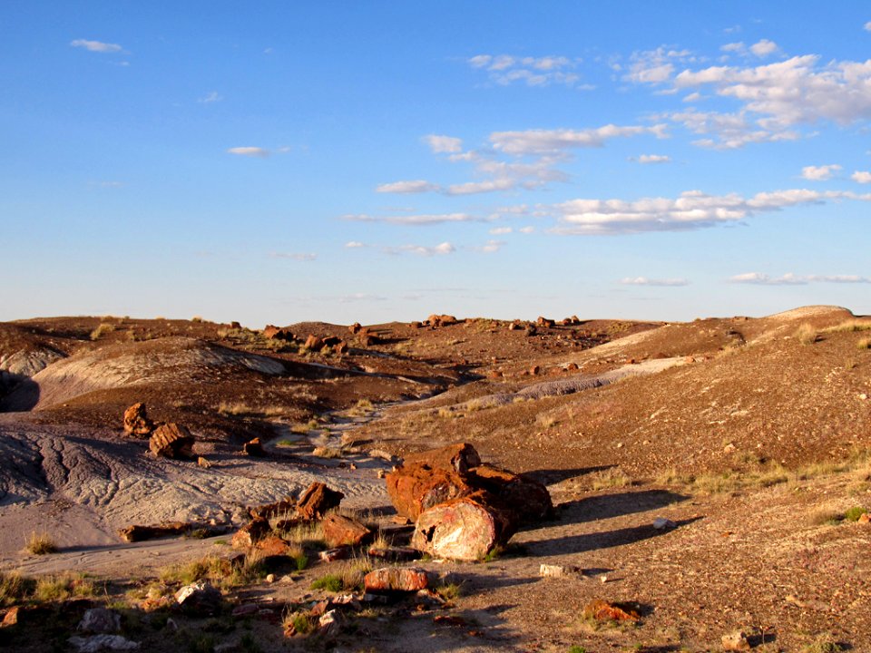 Crystal Forest at Petrified Forest NP in Arizona