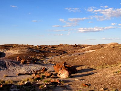 Crystal Forest at Petrified Forest NP in Arizona