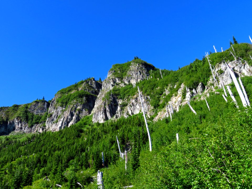 Lakes Trail at Mt. Margaret Backcountry in WA