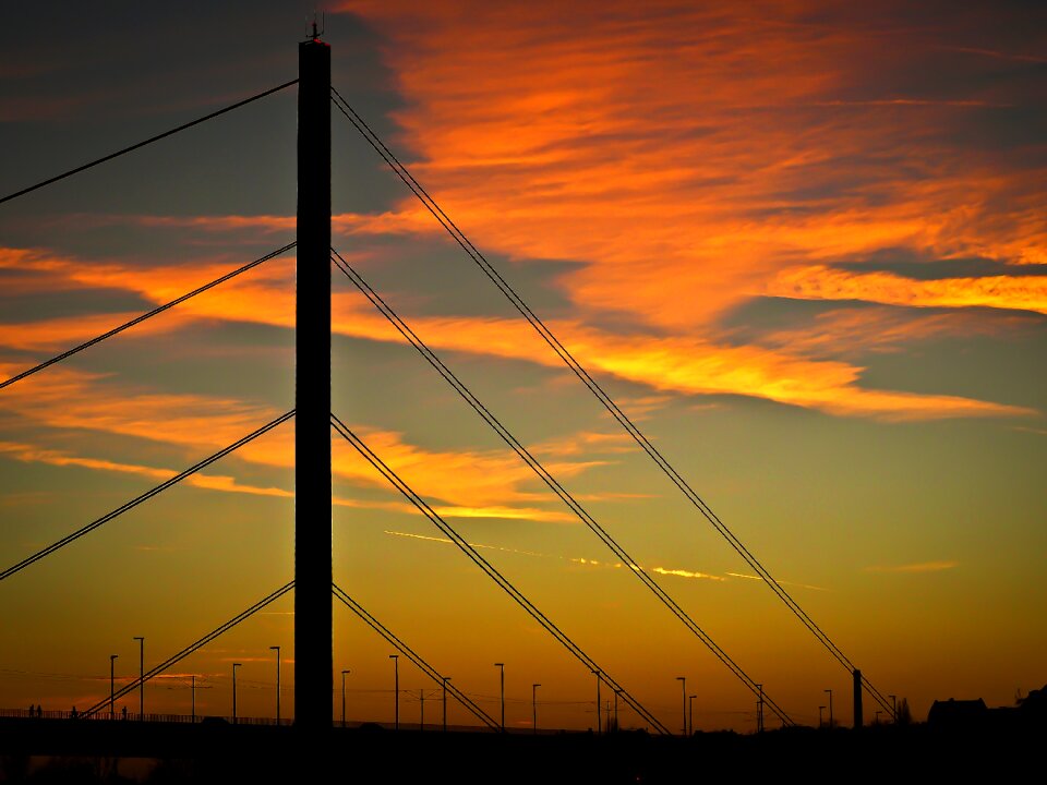 Rhine rheinbrücke sunset