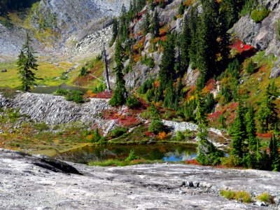 Autumn at Artist Point in WA photo