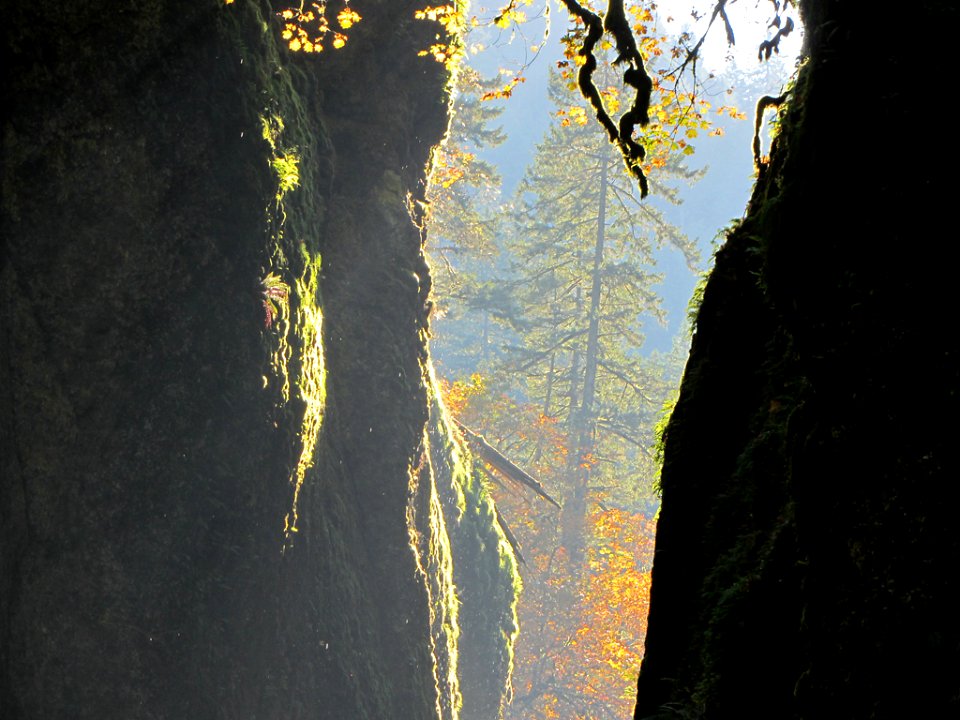 Oneonta Gorge at Columbia River Gorge in OR
