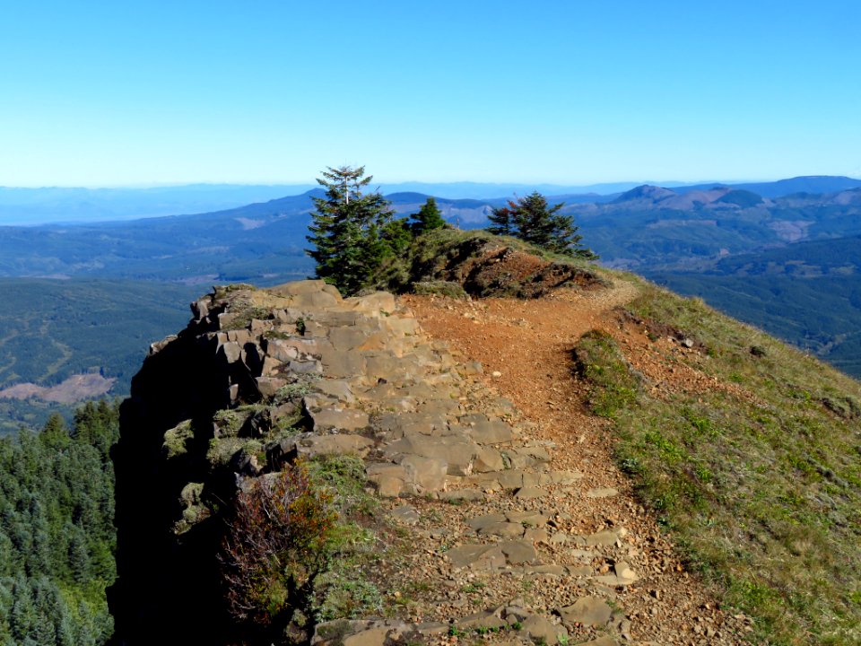 Saddle Mountain Trail in OR