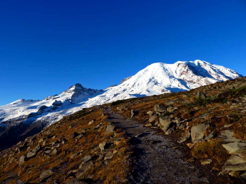 Burroughs Mt. Trail at Mt. Rainier NP in WA