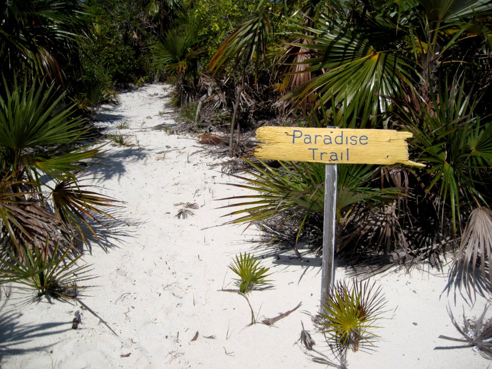 This Way to Paradise