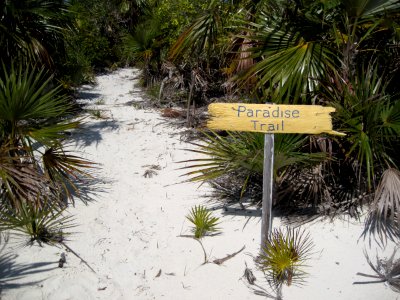 This Way to Paradise