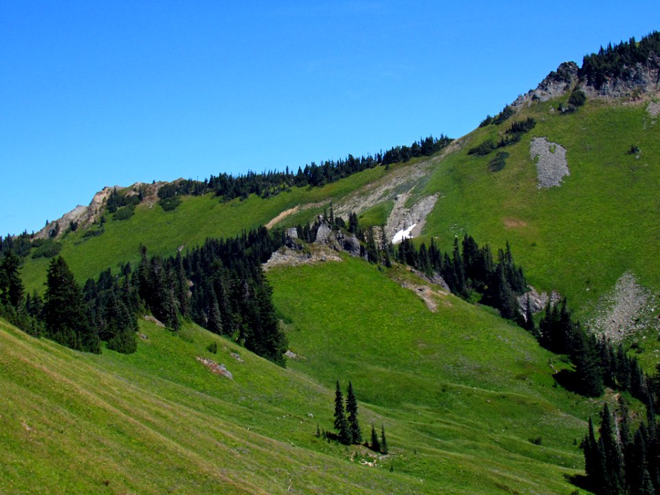 Tatoosh Wilderness in WA