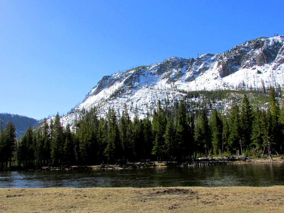 Yellowstone NP in WY