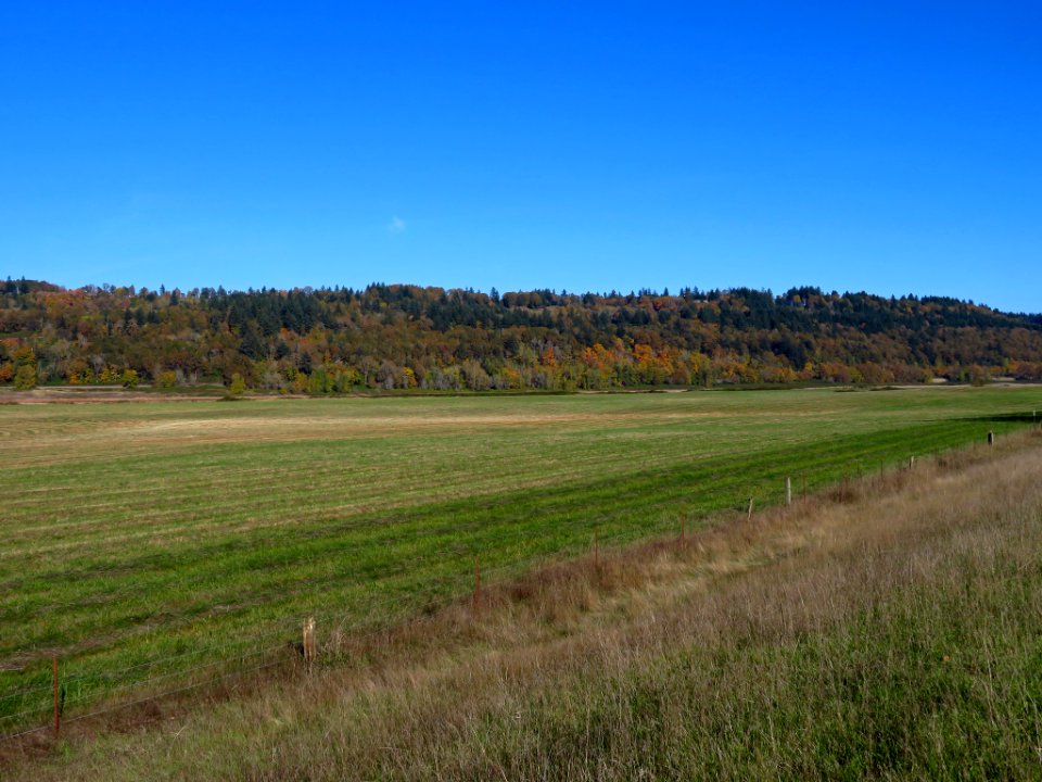 Autumn at Steigerwald Lake NWR in WA