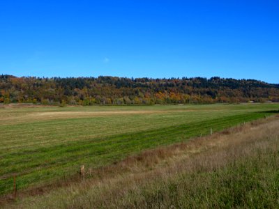 Autumn at Steigerwald Lake NWR in WA